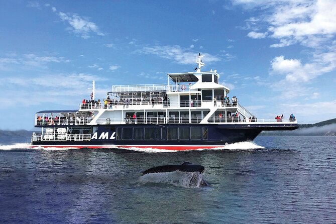 Full-Day Whale Watching Cruise From Quebec City - Meeting Point and Schedule