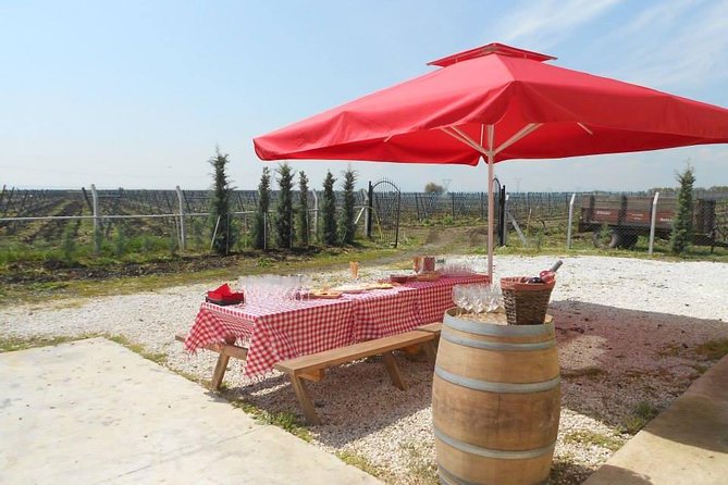 Full-Day Wine Tour From Istanbul - Thraces Wine-Making History