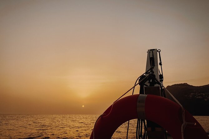 Funchal: Luxury Catamaran Sunset Cruise Open Bar - Accessibility Features