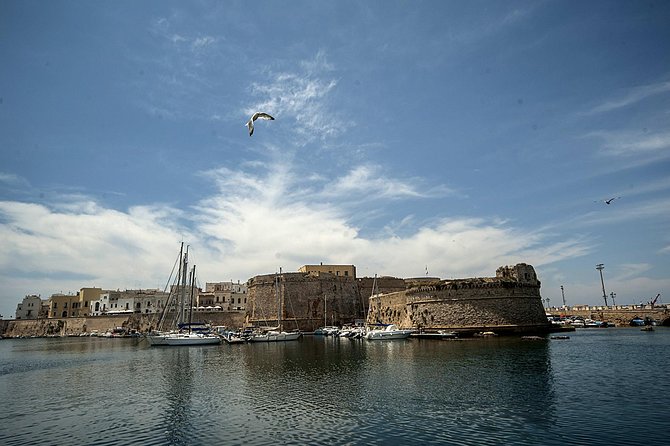 Gallipoli Walking Tour - Accessibility and Participation