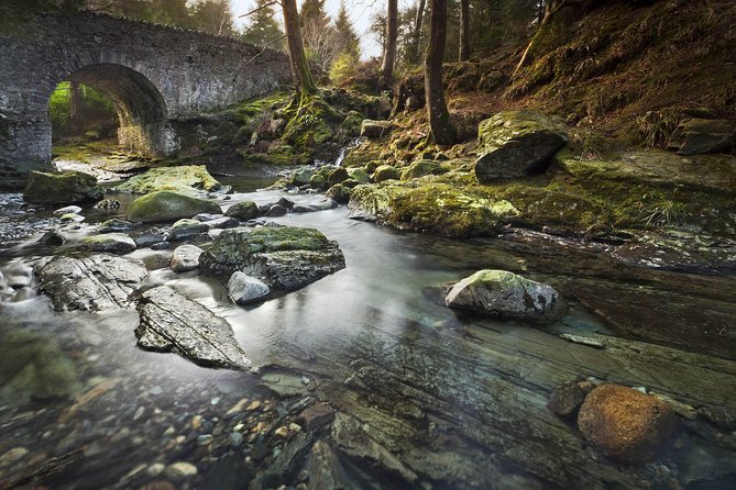 Game of Thrones - Tollymore Forest Trek - Health and Safety Considerations