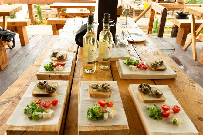 Gastrotour: Snail'S Farm With Degustation - Feeding and Care of Snails