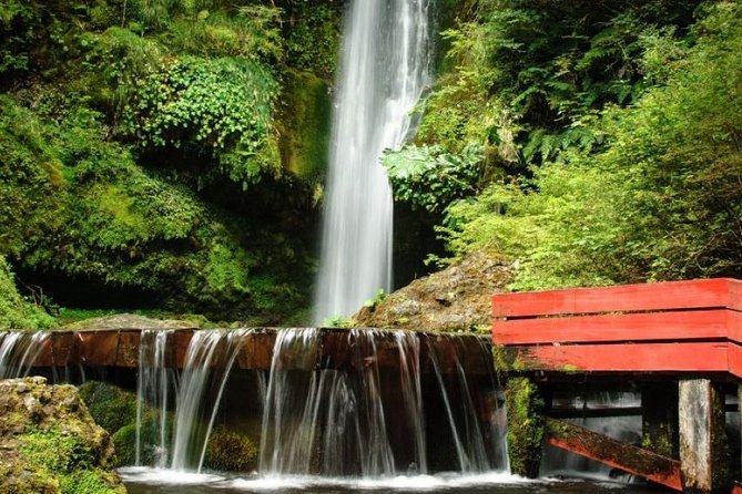 Geometric Hot Springs From Pucon - Pickup and Transportation