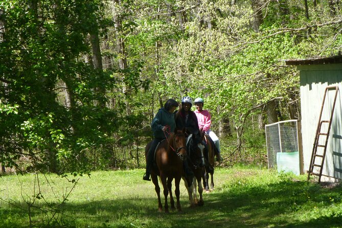 Georgia Horseback Ride With Wine Tasting - Horseback Riding Experience