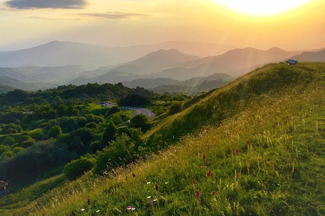 German Village in Georgia (Elisabethal) & Wine Tasting - Pricing and Cancellation