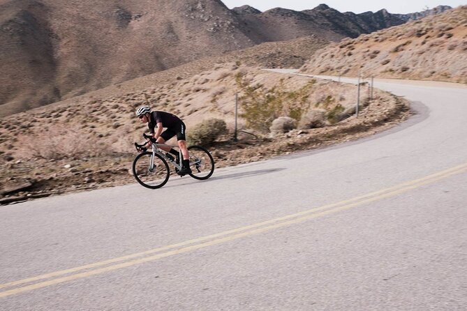 Giant TCR Advanced 2 Bike Rental Review - Meeting and Logistics
