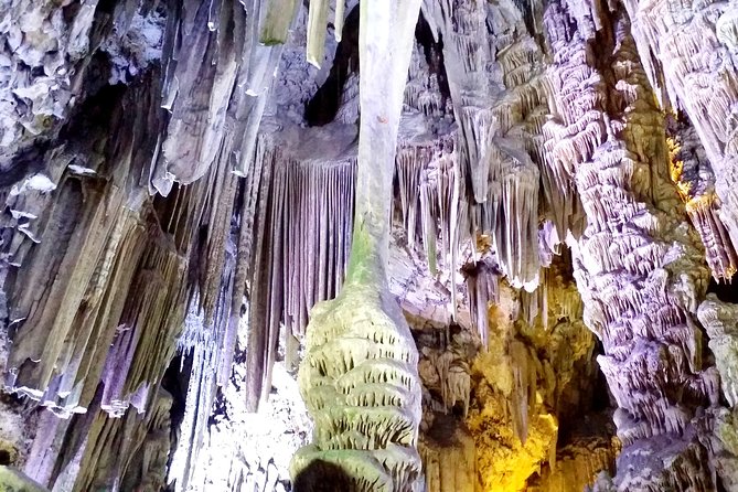 Gibraltar Private Tour From Marbella or Malaga - Transportation and Accessibility