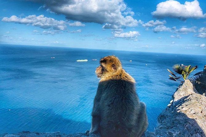 Gibraltar Sightseeing Private Full Day Shore Excursion - Accessibility and Requirements