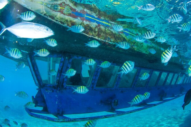 Glass Bottom Boat in Cancun - Lagoon and Mangrove Canals
