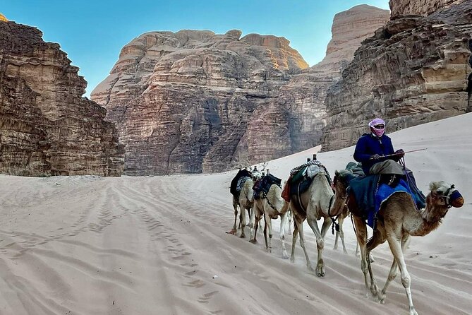 Golden Triangle : Aqaba - Petra - Wadi Rum 04 Days / 03 Nights - Accommodation Details