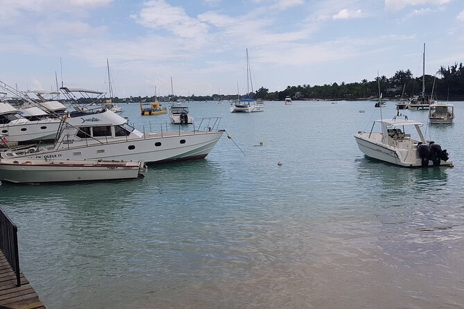 Grand Bay Food Tour - Satisfied Travelers