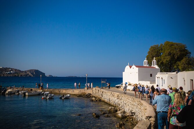 Grand Tour of Mykonos - Tips for a Great Tour