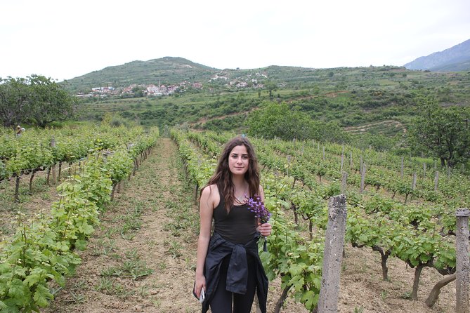 Grand Wine Tasting Tour of Berat / Offered by Tirana Day Trips - Itinerary Details