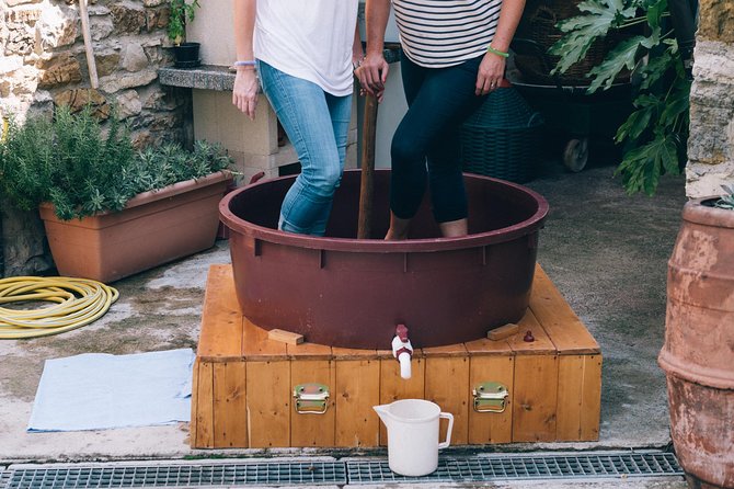 Grape Stomping in Tuscan Farmhouse - Inclusions and Pricing