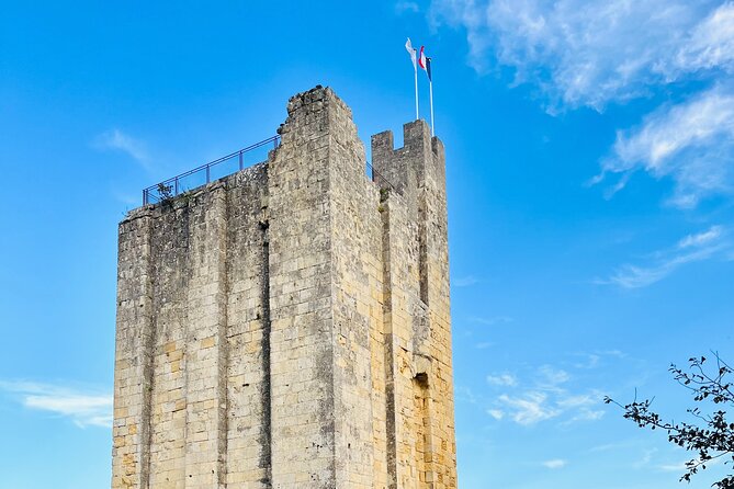 Group Tour - Saint Emilion Walking Tour + Tasting in Cave - Accessibility Features