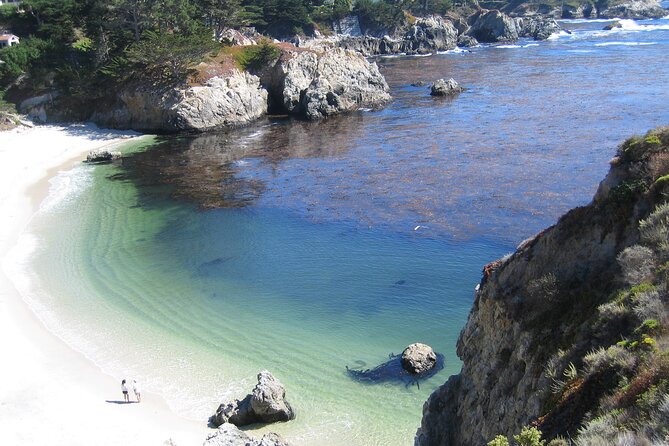 Guided 2-Hour Point Lobos Nature Walk - Tour Details and Accessibility
