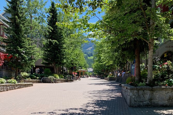 Guided Bike /E-bike Tour in Whistler From Vancouver - Health and Safety Requirements