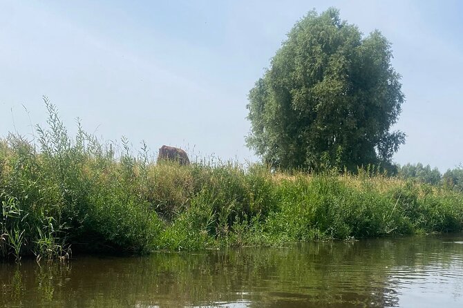 Guided Bike Tour Through the Dutch Countryside in Noord- Holland - Tour Requirements