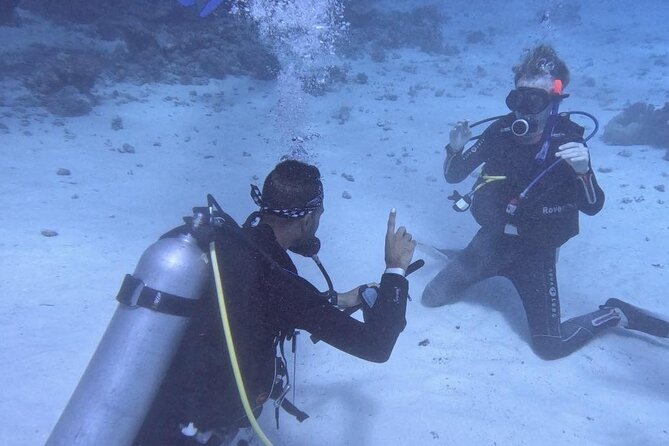 Guided Diving Experience for Padi OW in Red Sea and Sinai - Pickup and Transportation