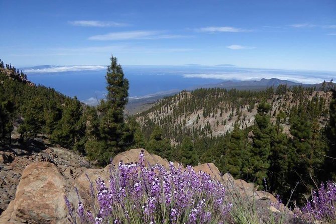 Guided Hike - The Tajinaste Trail - Inclusion and Requirements