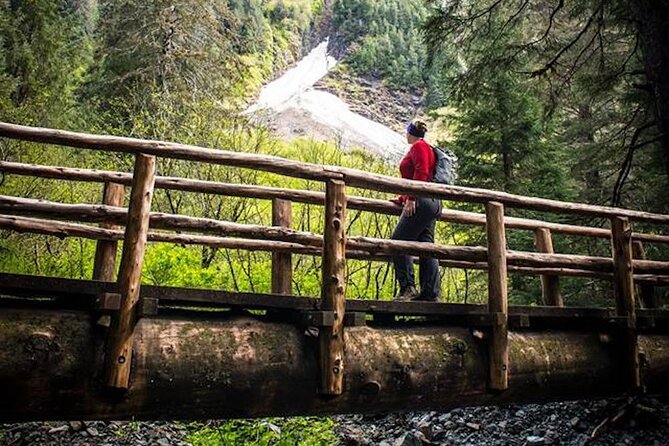 Guided Hike | TONGASS NATIONAL FOREST - Whats Included in the Tour