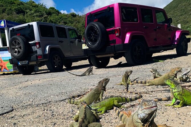 Guided Jeep Tour Exploring French and Dutch St Maarten - Traveler Experiences and Feedback