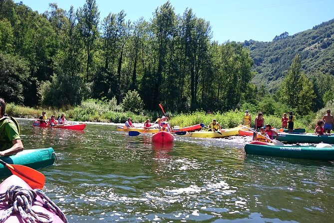 Guided Kayaking on the Nalón River Oviedo - Guided Nature Experience