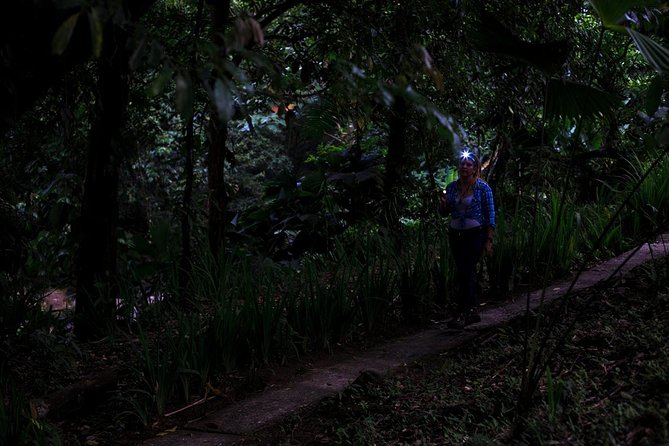 Guided Night Hike Arenal Mundo Aventura - Meeting Point and Pickup