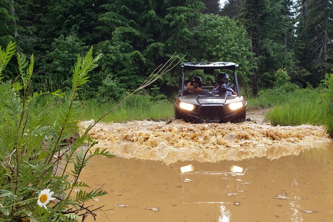 Guided Off-Road Vehicle Tours in North Idaho Forests - Solo or Group Excursions