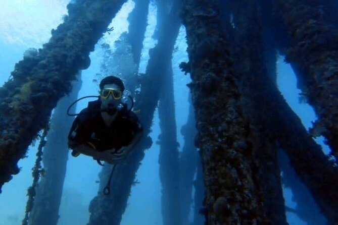 Guided Scuba Diving Adventure in Aqaba - Inclusions and Pricing