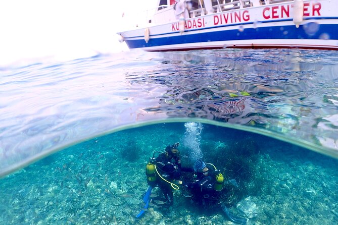 Guided Scuba Diving Experience in Kusadasi - Highlights of the Scuba Experience
