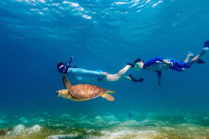 Guided Snorkeling Trip to the Turtles in Protaras - Booking Process