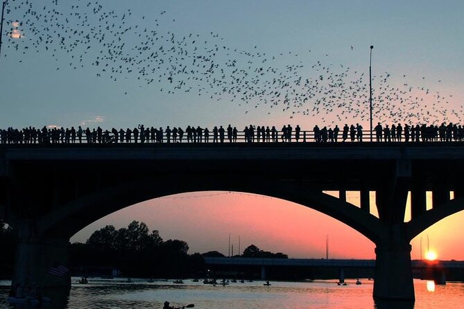Guided Sunset Bat Kayak Tour in Austin - Guides Knowledge