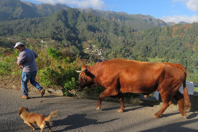 Guided Tour Beyond Vineyards Cabo Girão Skywalk and 4x4 Adventure - Traveler Information