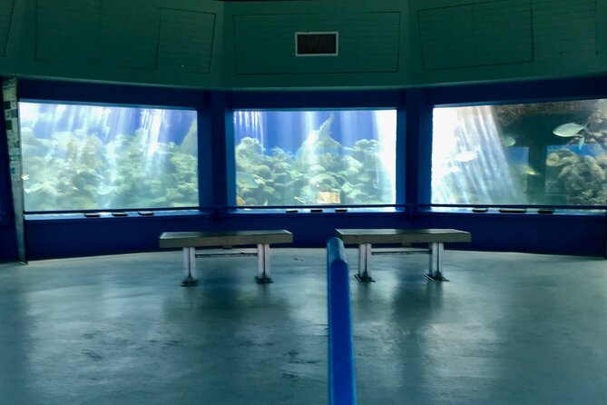 Guided Tour of Coral World Ocean Park & Happy Hour - Highlights From Guest Reviews