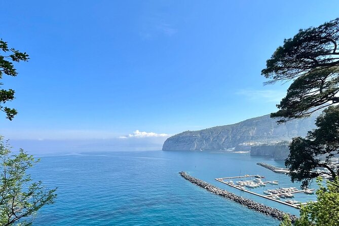 Guided Tour of the History and Tradition of the Sorrento Lemon - Tour Guide and Interaction