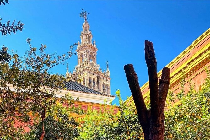 Guided Walking Tour of the Barrio De Santa Cruz - Meeting Point and Timing