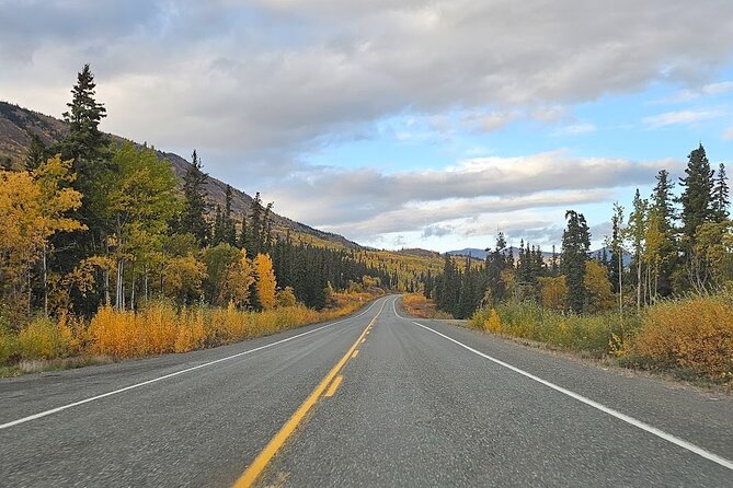 Guided Winter Wonderland Tour to Canada - Traveler Experiences and Feedback