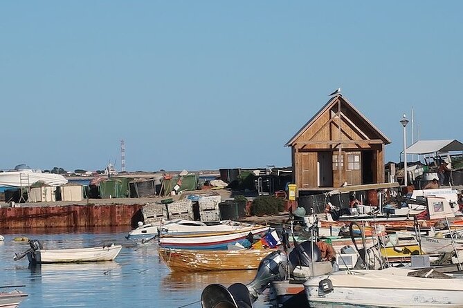 Half-Day Boat Trip to the Ria Formosa Islands - Booking Information