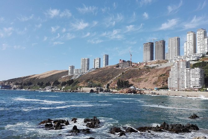 Half-Day Chilean Pacific Coast Tour: Viña Del Mar, Reñaca and Concón - Concóns Ecological Park and Bird Watching