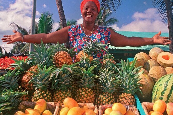 Half Day Dominican Republic Cultural Tour - Transportation and Logistics