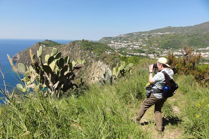Half-Day East Coast Hike in Ischia Island With Pick-Up - Positive Traveler Experiences in Reviews