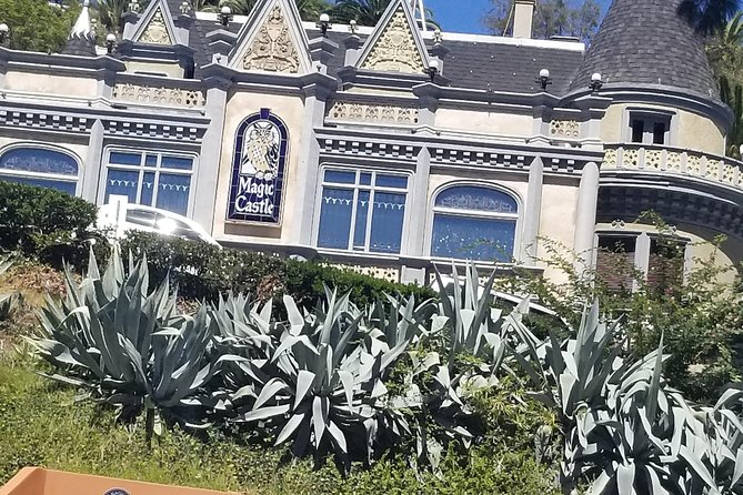Half Day Hollywood and Beverly Hills Tour - Customer Experience and Feedback