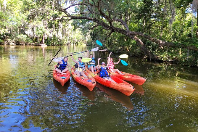 Half Day Kayak and Paddle Board Rentals on the Scenic Dora Canal - Spotting Local Wildlife