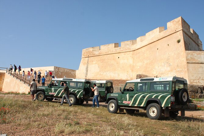 Half-Day Nature Safari in the Algarve - Safari Schedule and Availability