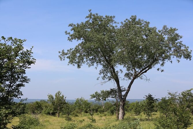 Half-Day Nature Walk in Mosi-Oa-Tunya National Park From Livingstone - Wildlife Spotting Opportunities