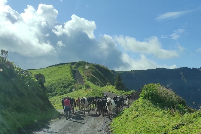 Half Day Off Road Tour in Azores - Questions and Assistance