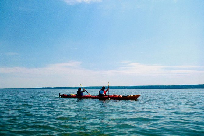 Half-Day Orleans Island Small-Group Sea Kayaking Tour - Age and Health Restrictions
