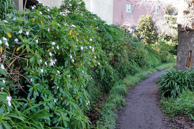 Half-Day Paradise Valley Walking Tour - Pickup Information