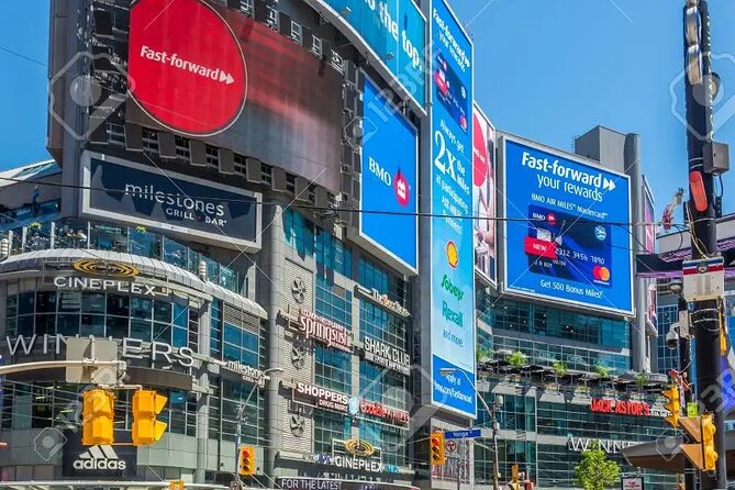Half-Day Private Tour of Toronto With Pick up - Reviews and Feedback